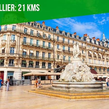 Le Palais Maya - Lumineux - Wifi 라그랑모트 외부 사진